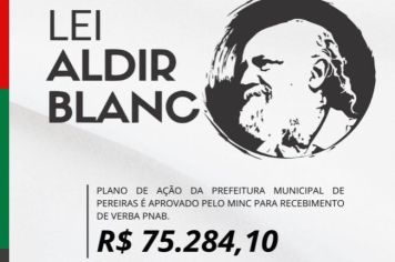 Plano de Ação para aplicação da Politica Nacional Aldir Blanc de Fomento Cultural (PNAB)